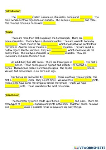 Bones, muscles and joints