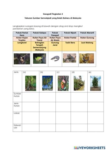 Taburan Sumber Semula Jadi Boleh Baharu