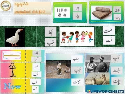 Urdu Lesson 13 Multiple Choice