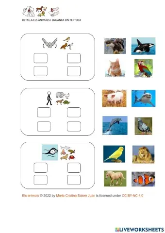 Retalla els animals i enganxa on pertoca