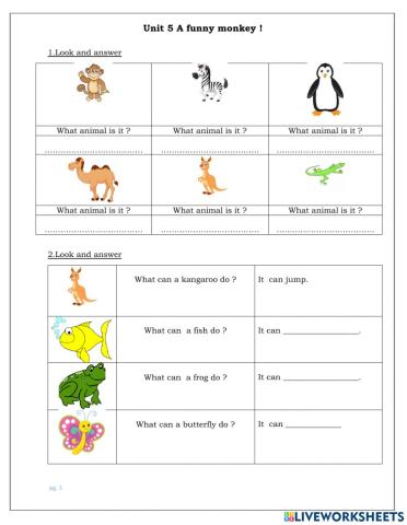 Ff4.Unit 5 A funny monkey