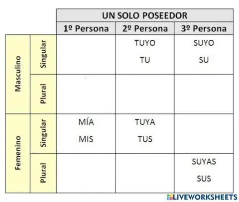 Los determinantes POSESIVOS