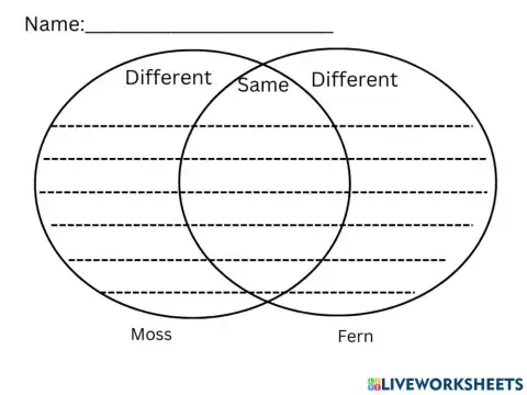 Vendiagram of Moss and Fern