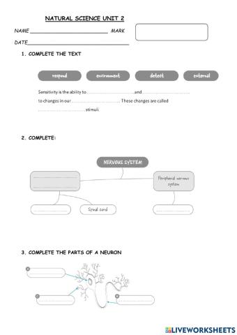 Sensitivity and nervous system