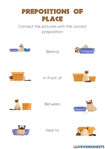 Prepositions of place