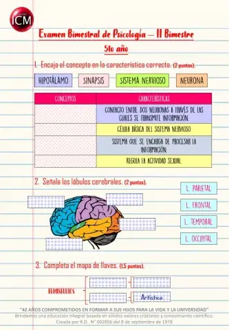 Examen de Psicología - II Bimestre