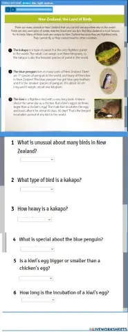 New Zealand the land of birds