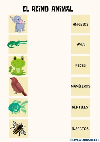 EL REINO ANIMAL