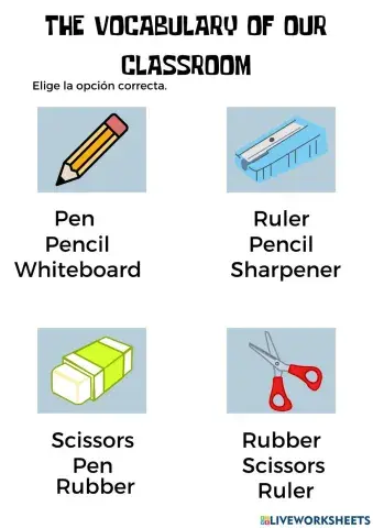 THE VOCABULARY OF OUR CLASSROOM