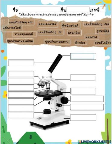 ใบงานกล้องจุลทรรศน์