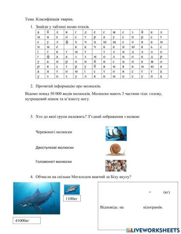 Класифікація тварин молюски