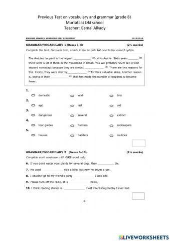 Test on vocabulary and grammar