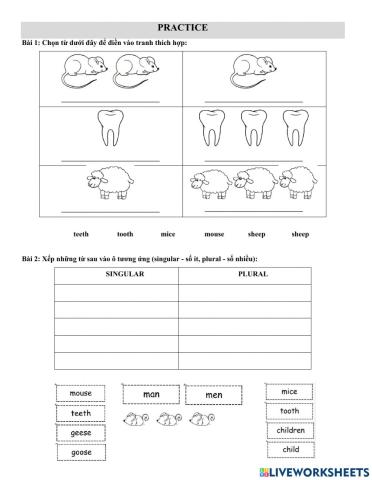 Mika-2a1gram-btvn 17.11.22