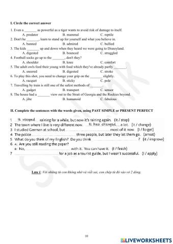 Viet Teacher-S6-WEEK 19-PET PRACTICE-P2