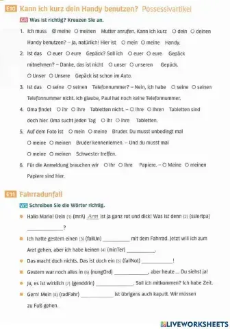 A1 Lek10 Trainingsbuch 10-11