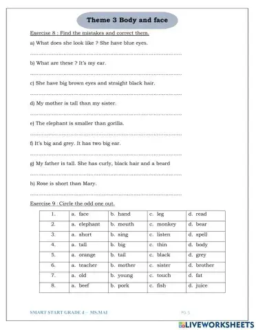 Smart start 4 theme 3