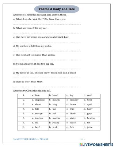 Smart start 4 theme 3