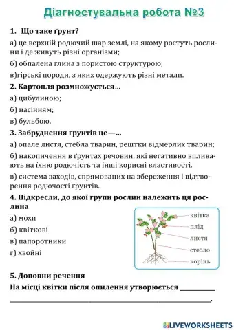 Діагностувальна робота №3