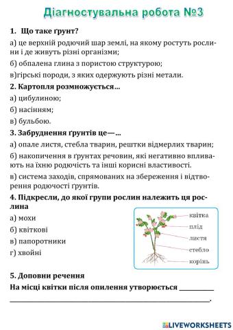 Діагностувальна робота №3