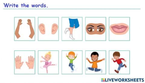Body Parts and Action Verbs