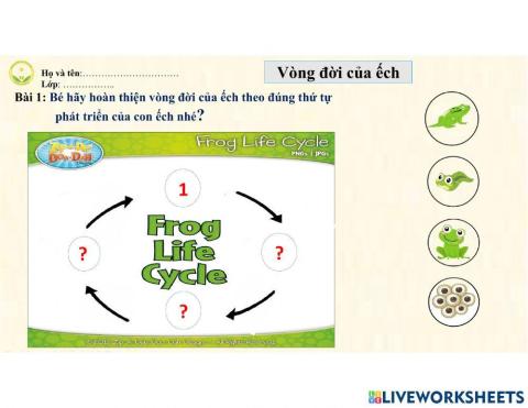 Vòng đời phát triển của con ếch (1)