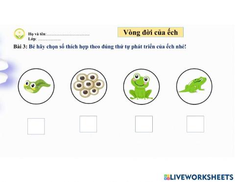 Vòng đời phát triển của ếch (2)
