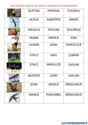 Olimpiada păsarilor -editia I