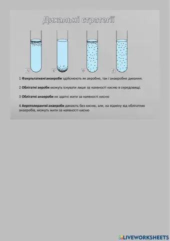 Відношення організмів до кисню