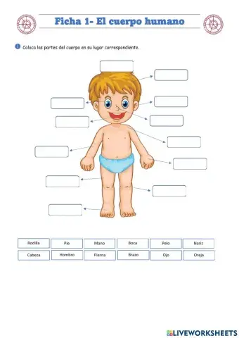 El cuerpo Humano - El grupito de atrás