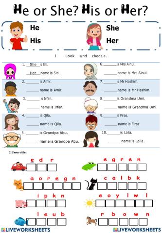 She-he-his-her-color