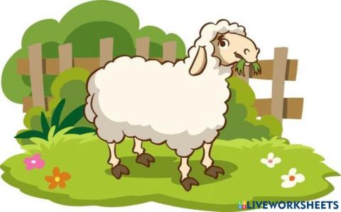 Armamos el rompecabezas