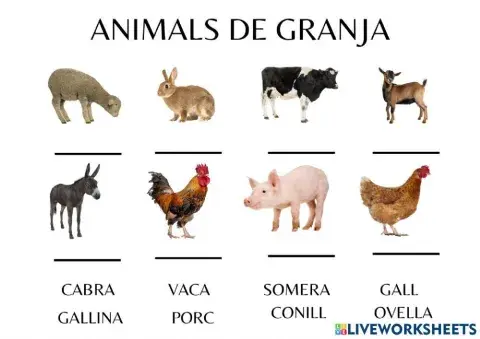 Animals de granja
