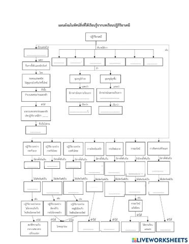 แผนผังสรุปปฏิกิริยาเคมี