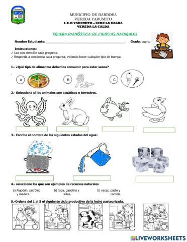 Prueba Diagnóstica