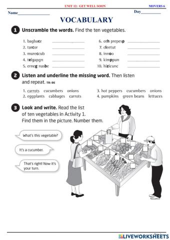 Movers 6 - U11 - Vocabulary
