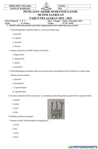 Pat 6    ipa    nopember 2022