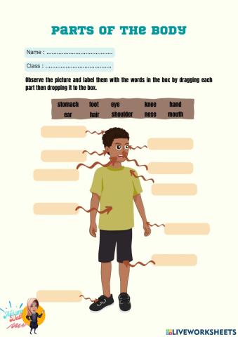 Parts of the Body