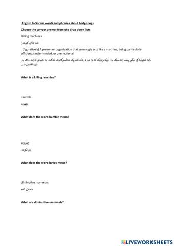 English to Surani with questions