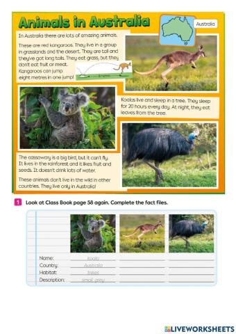 Bright Ideas 2 - Unit 5