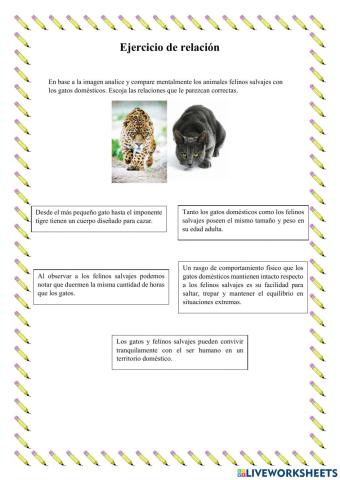 Ejercicio de relación