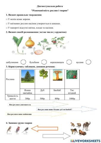 Діагностувальна робота з ЯДС.Різноманітний світ рослин і тварин