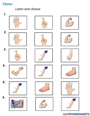 Everubody Up 1  -Unit 7