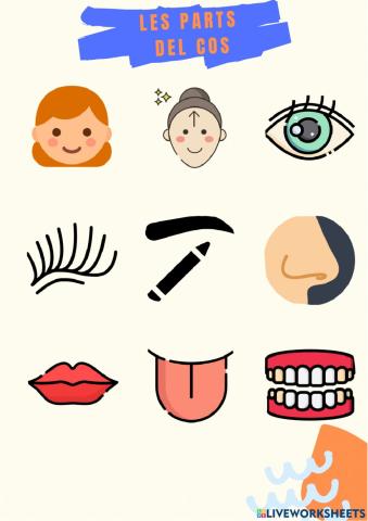 Les parts del cos