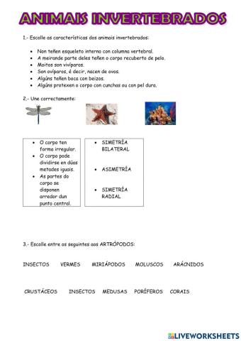 Invertebrados