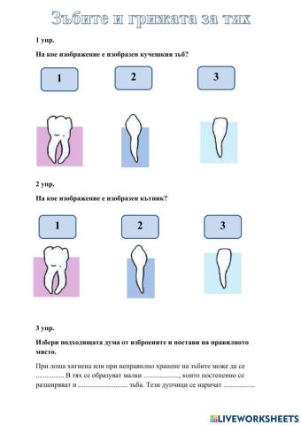 Зъбите и грижата за тях