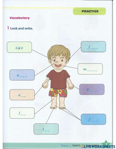 Parts of the body exercise 1