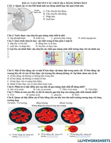 Bài 11: Vận chuyển các chất qua màng sinh chất