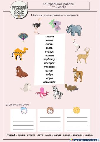 К.р. Билингвы-РКИ