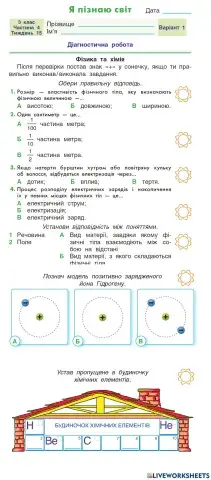 Діагностична робота з фізики і хімії