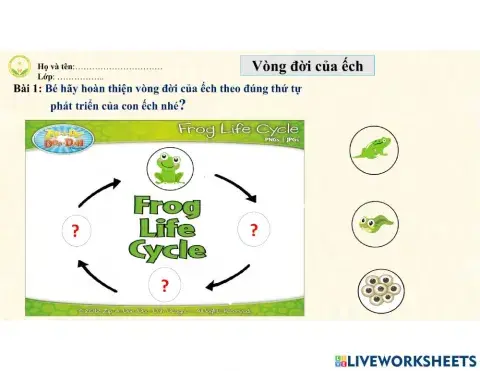 Vòng đời phát triển của ếch